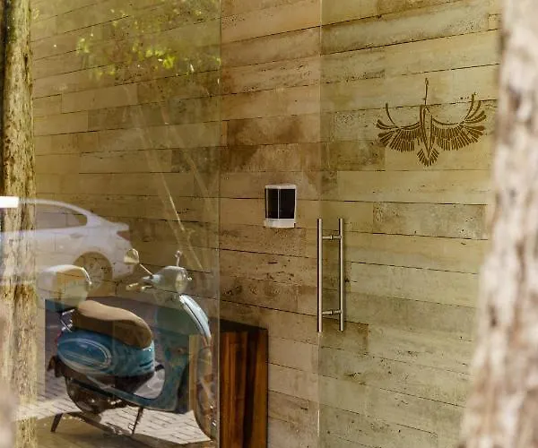 204 Hidden Gem In The Heart Of W/ Huge Private Terrace And Pool For 6 Pax Apartment Tulum